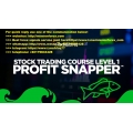 ADAM KHOO - Piranha Profits - Stock Trading Course Level 1 profit Snapper (Total size: 2.56 GB Contains: 28 files)